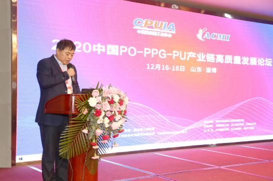 山東藍星東大有限公司總工程師、總經理助理郭輝